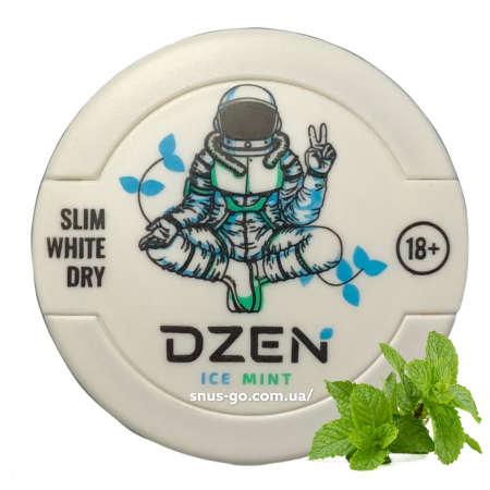 Dzen Ice Mint купить снюс Украина по лучшей цене в Snus Go Dzen Ice Mint купить снюс Украина по лучшей цене в Snus Go