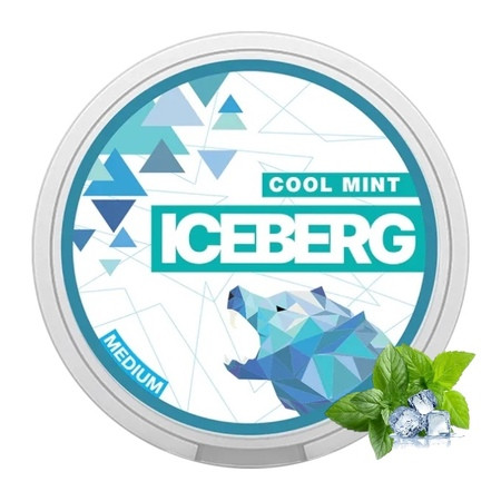 Снюс Iceberg Cool Mint 50 мг