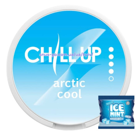 Снюс Chill Up Arctic Cool 13 мг/г