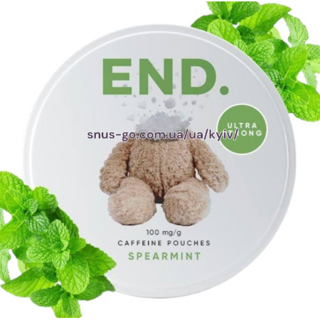 Кофейные Паучи End Spearmint 100 мг